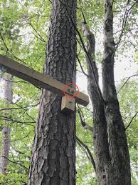 Going back and forth, sharing with their siblings or friends, playing video games, or just taking a breath of. Fixing Swing Between Two Trees Diy Home Improvement Forum