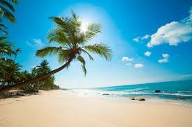 1 talking about this · 1 was here. The Forum Hotel Lowers Lodging Rates For The Summer Season Newswire