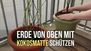 Pool Mit Holz Heizen Poolheizung Selber Bauen Hausgarten Net In 2020 Selber Bauen Fahrradschuppen Mulltonnenbox Selber Bauen