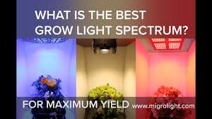 What Is The Best Grow Light Spectrum