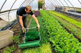 Urban Farming Growing For Profit 75 000 On 1 3 Acre Backyard Farming Greenhouse Farming Urban Farming
