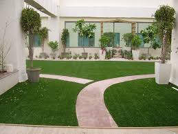 Beautiful Landscaping Inside A House At Delhi It S Great How This Low Maintenance Grass Can Liven Up A Plai Grasses Landscaping Natural Grass Artificial Grass