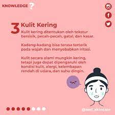 Kulit Kering Skin Care Make It Yourself Info