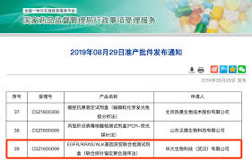 华大集团 华大基因股份 华大科技 华大医学 华大智造 华大鉴正 华大基因学院 国家基因库 华大商城 gigascience complete genomics 金丝带 华大吉比爱 华大细胞 华大生命大数据. å–œè¨Š è¯å¤§åŸºå› è‚ºç™Œé«˜é€šé‡æ¸¬åºå¤šåŸºå› æª¢æ¸¬è©¦åŠ'ç›'ç²æ‰¹ è¯å¤§é†«å­¸ å¾®æ–‡åº«