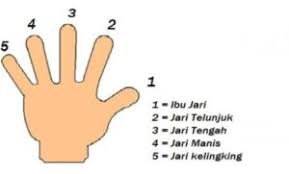 Teknik fingering merupakan latihan untuk mempercepat kecepatan jari tangan kiri. Asal Nama 5 Jari Pringsewu Resto