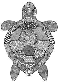 Printable mandala coloring pages from monday mandala. Tortuga De Poreen Turtle Coloring Pages Turtle Drawing Animal Coloring Pages