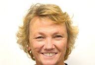 The Saratoga Sun Archives