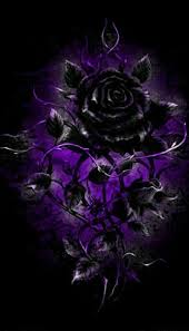 Black And Purple Roses Pin By Deborah Scotka On Sl Blue Roses Wallpaper Gothic Wallpaper Purple Wallpaper
