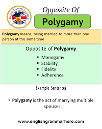 We did not find results for: Opposite Of Polygamy Antonyms Of Polygamy Meaning And Example Sentences English Grammar Here