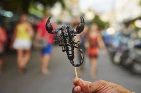 These are very smart animals that have even developed. What Does Scorpion Taste Like Cuisinevault