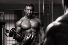 We did not find results for: Buy Superb Range Of Mk 2866 Online From Direct Sarms Saudi Arabia