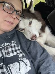 Husky with high appetite, aggressive eating habits