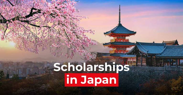 Types of Scholarships in Japan: MEXT, JASSO, University, and Private Awards Explained