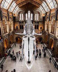20 aktiviti & tempat paling menarik di terengganu paling popular. Tempat Menarik Di London Yang Terkini 2021 Paling Cantik