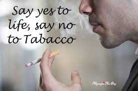People always come up to me and say that my smoking is bothering them. 112 Best Tobacco Quotes And Sayings