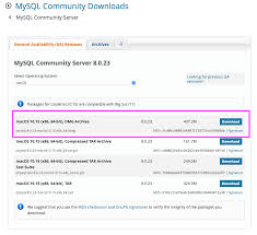 Rpm distributions of mysql are also provided by other vendors. How To Install Mysql Community Server On Macos Big Sur Version 11 X 2021 Tech Cookbook
