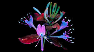 Telefon duvar kağıtları arıyorsanız doğru adrestesiniz. Birbirinden Guzel Iphone Duvar Kagitlari