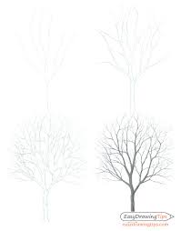 Most relevant best selling latest uploads. How To Draw A Tree Step By Step Tutorial Easydrawingtips