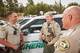 The sheriff's office is comprised of many units: Sonoma County Sheriff S Office