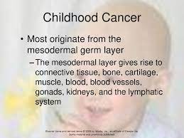 I don't think it matters much for the organisations section, but the paragraph on developmental problems in children with cancer should either be. Cancer In Children Dr Gary Mumaugh Ppt Download