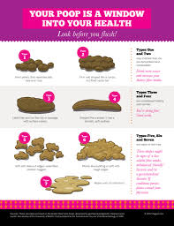 Healthy Poop Chart Stool Color Changes And Meaning Concept