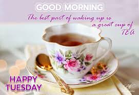 Hello friends, today we are going to share with you in this blog post the best collection of good morning tuesday images. Happy Tuesday Good Morning Tea Premium Wishes