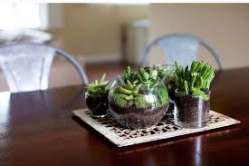 Los cactus y las suculentas, esas plantas de talle esbelto y casi arquitectónico, son la última de unir ambas realidades nace este tutorial sobre cómo hacer un terrario de suculentas, con recipiente de vidrio abierto (vale desde un vaso hasta una pecera). La Nacion Como Hacer Y Mantener Un Terrario