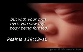 The Sanctity Of Human Life Emphasis Is Given To A Broad Range Of Life Inspirational Quotes Psalms Words Of Encouragement