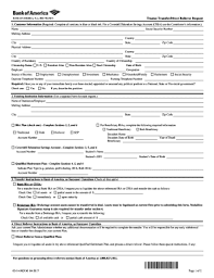 money transfer receipt pdf fill online printable fillable blank pdffiller