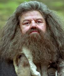 Jackeee Harry Do You Love Her?