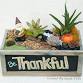Plant Nite: Be Thankful Gnome Garden event image