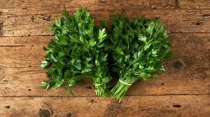 7 tips cara tanam pokok daun sup guna anak pokok & elak busuk. Cara Tanam Daun Sup Guna Akar Caratanam Kesum Ep 1 Menanam Kesum Dari Keratan Batang Guna Kaedah Hidroponik Youtube Cara Paling Mudah Tanam Daun Sup Berbanding Menggunakan Biji Benih Ghipolty