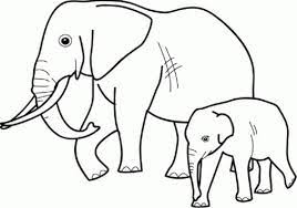 Gajah adalah mamalia besar dari famili elephantidae dan ordo proboscidea.secara tradisional, terdapat dua spesies yang diakui, yaitu gajah afrika (loxodonta africana) dan gajah asia (elephas maximus), walaupun beberapa bukti menunjukkan bahwa gajah semak afrika dan gajah hutan afrika merupakan spesies yang berbeda (l. Gambar Mewarnai Sketsa Gambar Binatang Gajah Terbaru
