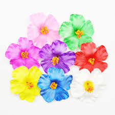 Maybe you would like to learn more about one of these? 10pcs Hawaii Party Hibiscus Flowers Summer Party Diy Decorations Artificial Flowers Hula Girls Favor Hair Decoration Flower Super Offer D9336 Goteborgsaventyrscenter