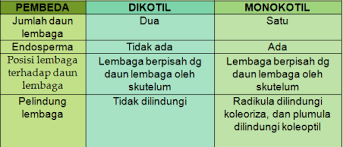 Check spelling or type a new query. Jelaskan Perbedaan Antara Pertumbuhan Dan Perkembangan Pada Tumbuhan