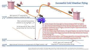 Bees are flying neutral mobs that live in bee nests and beehives. How Bees Fly In Cold Weather Mitecalculator Com
