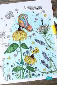 Save our monarchs schools program. Butterfly Garden Butterfly Coloring Page For Adults Arts And Crackers
