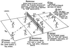 Pin On Volleyball