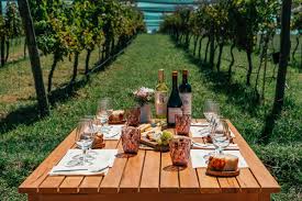 The Lane Vineyard Gourmet Lunch (Light lunch in winery with wine tasting in  San Gimignano Pelago)