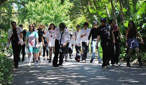 Do you like zombie apocalypses and is the walking dead your ultimate favourite television show? Cape Town Zombie Walk 2016 Cometocapetown Com