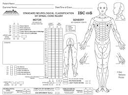 Image Result For Asia Score Pdf Spinal Cord Injury Spinal