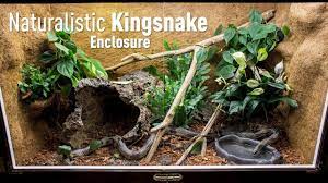 Setting Up A Naturalistic Kingsnake Enclosure Youtube Snake Terrarium Reptile Enclosure Enclosure