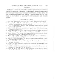 Image result for Sphaeropsis tumefaciens oleander symptoms