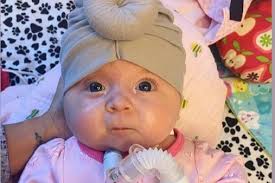 Fundraiser for Jena Abramson by Jane Hare : Baby Lavender Wants to Go Home