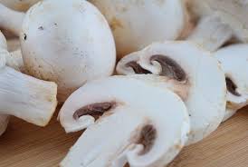 We did not find results for: Cendawan Faedah Dan Bahaya Komprehensif Mengenai Kesihatan Di Ilive