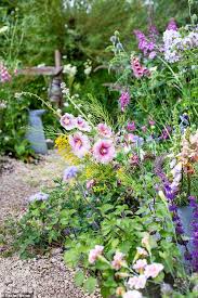 This will prevent seed heads from forming and reseeding. Lifestyle Pot Plant Grow Daily Mail Online