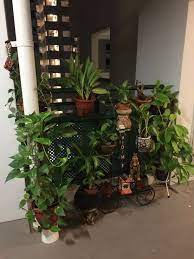 My Green Corner Small Balcony Decor Balcony Decor Natural Home Decor
