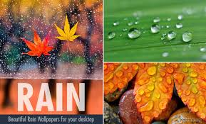 Best Wallpapers Webneel Com In this post we have added beautiful nature wallpapers for your desktop.