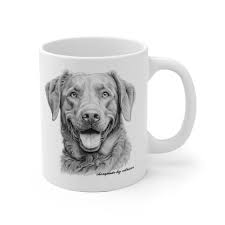 Image result for chesapeake bay retrívr