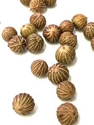 Pour the seeds on a window screen or a fine mesh. Pin On Seeds Pods Capsules